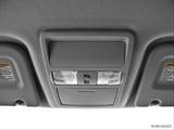 Courtesy lamps/ceiling controls photo